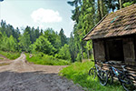 Wandern und Mountainbike im Schwarzwald